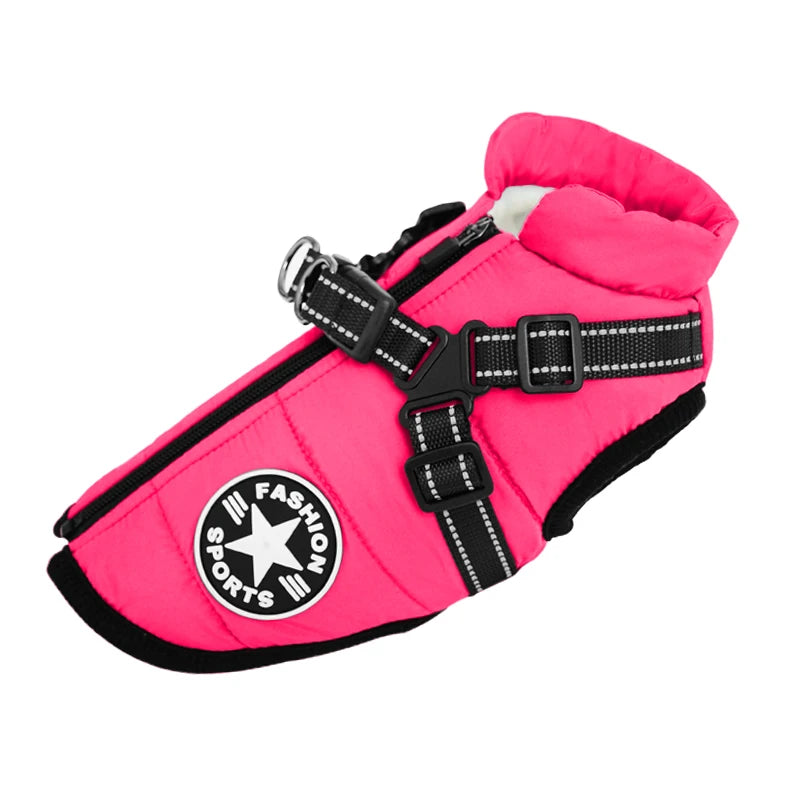 Jacket and Harness in One