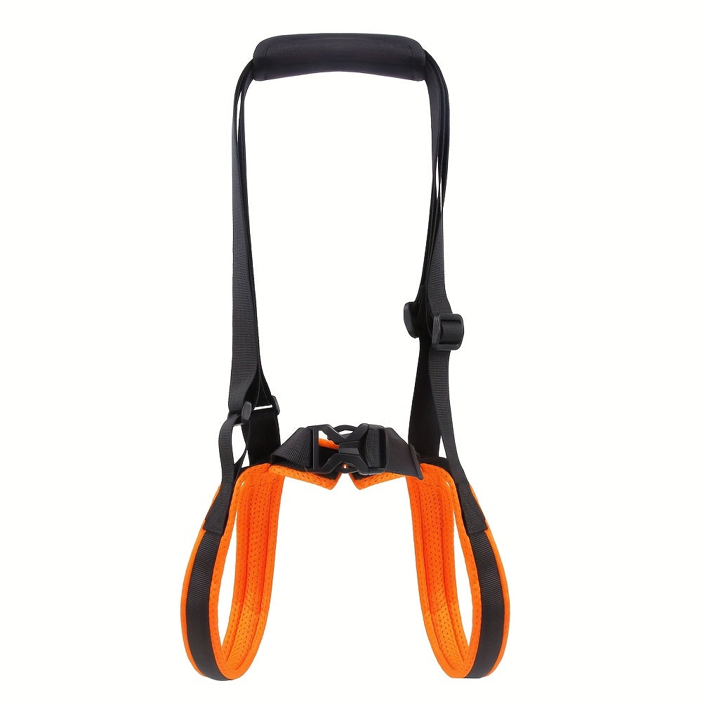 For the Dogs Who Need a Little Help