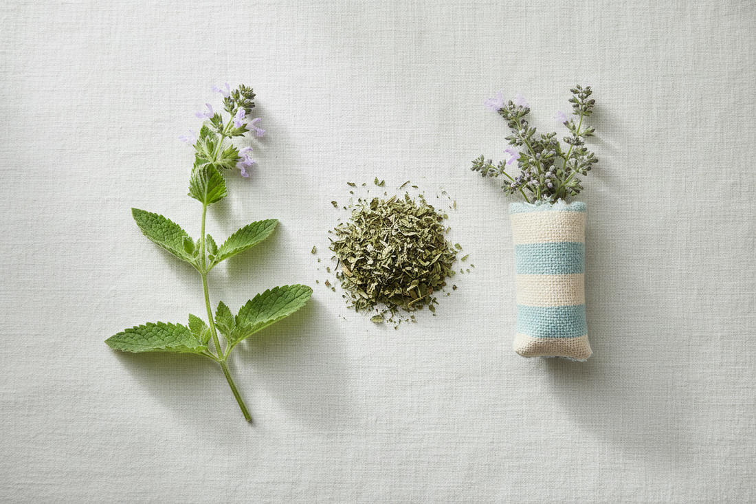 The Benefits of Catnip: What It Does and Is It Safe for Your Cat?