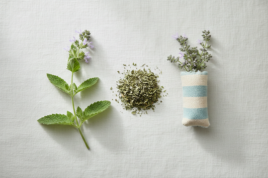 The Benefits of Catnip: What It Does and Is It Safe for Your Cat?