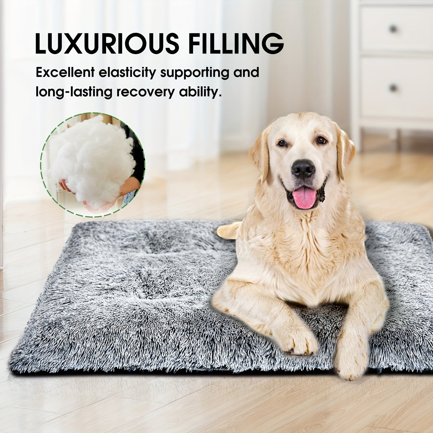 Plush Washable Dog Bed with Anti-Slip Base | Dogs & Cats