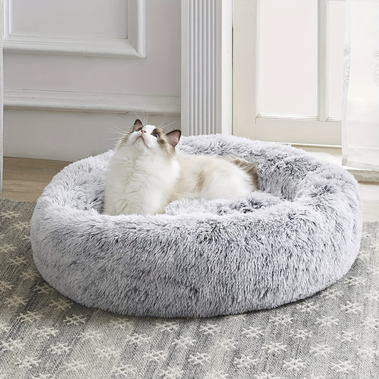 The Bed They'll Actually Use