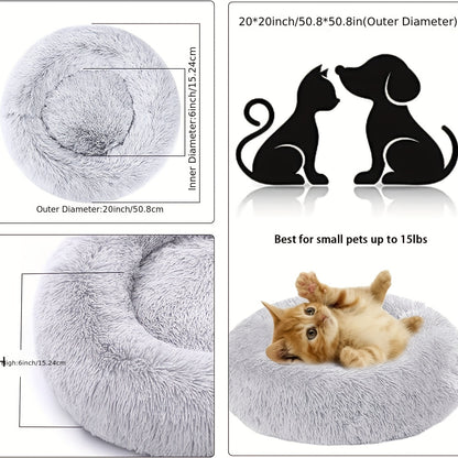 The Bed They'll Actually Use