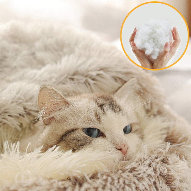 Sleeping Bag or Sofa — Their Call