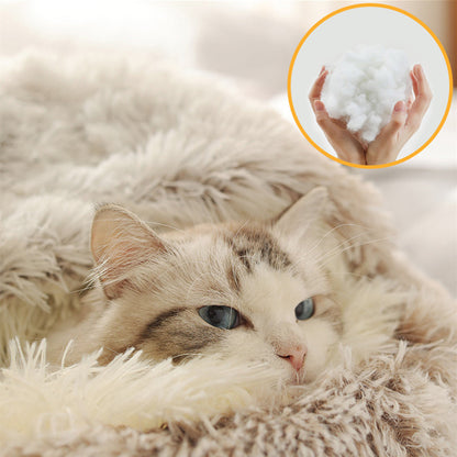 Sleeping Bag or Sofa — Their Call