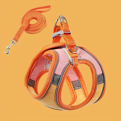 Adventure-Ready, Escape-Proof