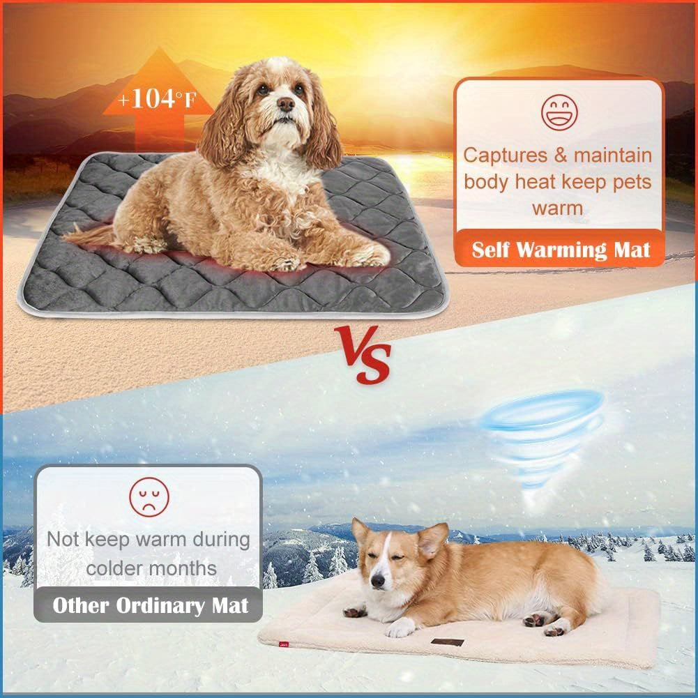 Warm Without Plugging Anything In