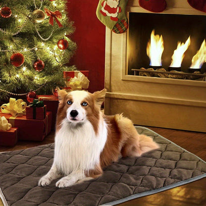 Warm Without Plugging Anything In