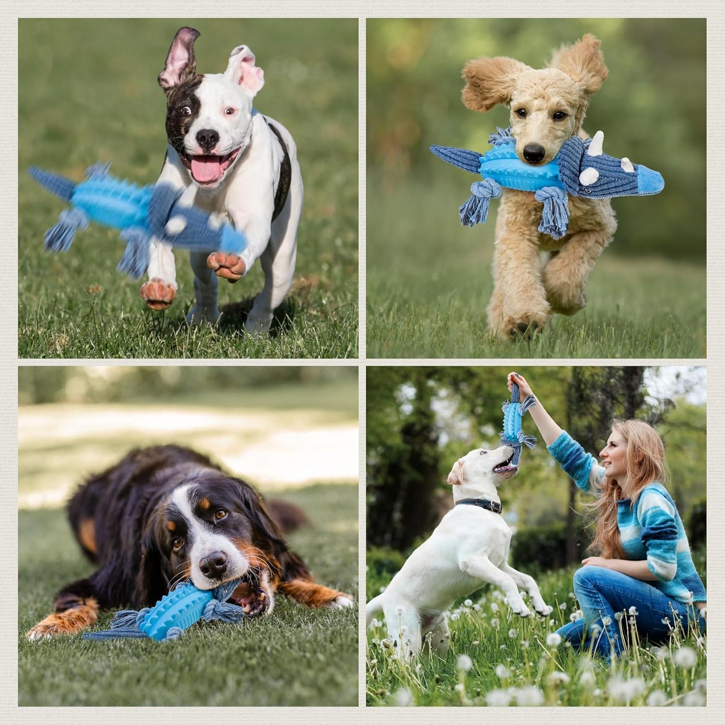 Pull. Tug. Win. (They Always Win.)