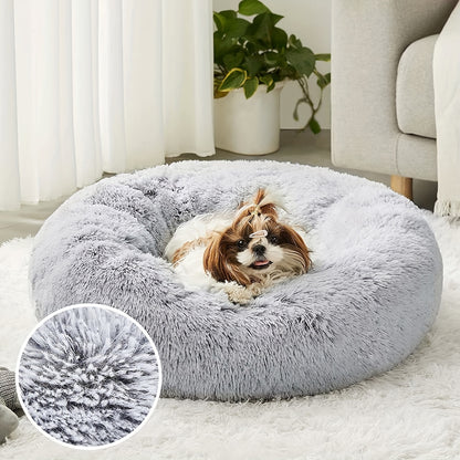 The Bed They'll Actually Use