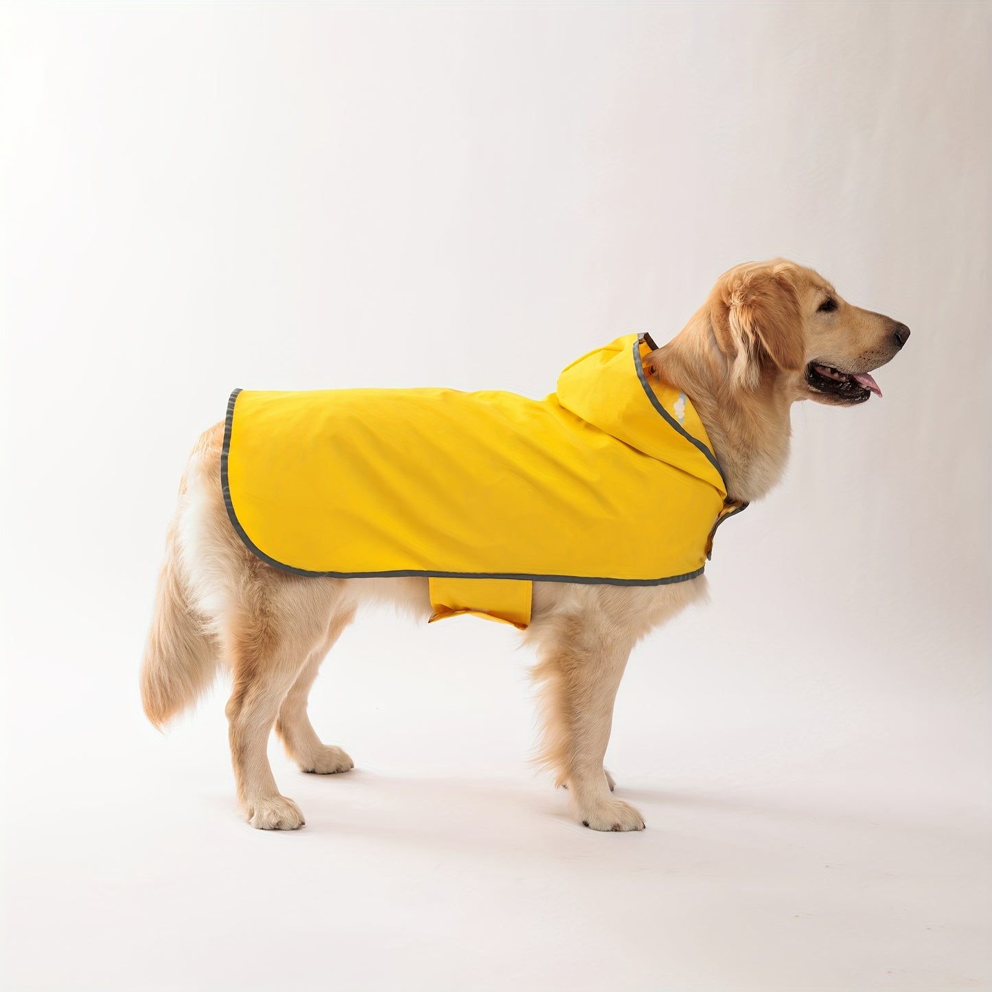 Two Looks, One Rainy Walk