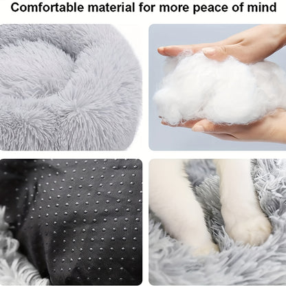 The Bed They'll Actually Use