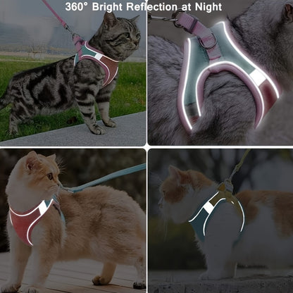 Adventure-Ready, Escape-Proof