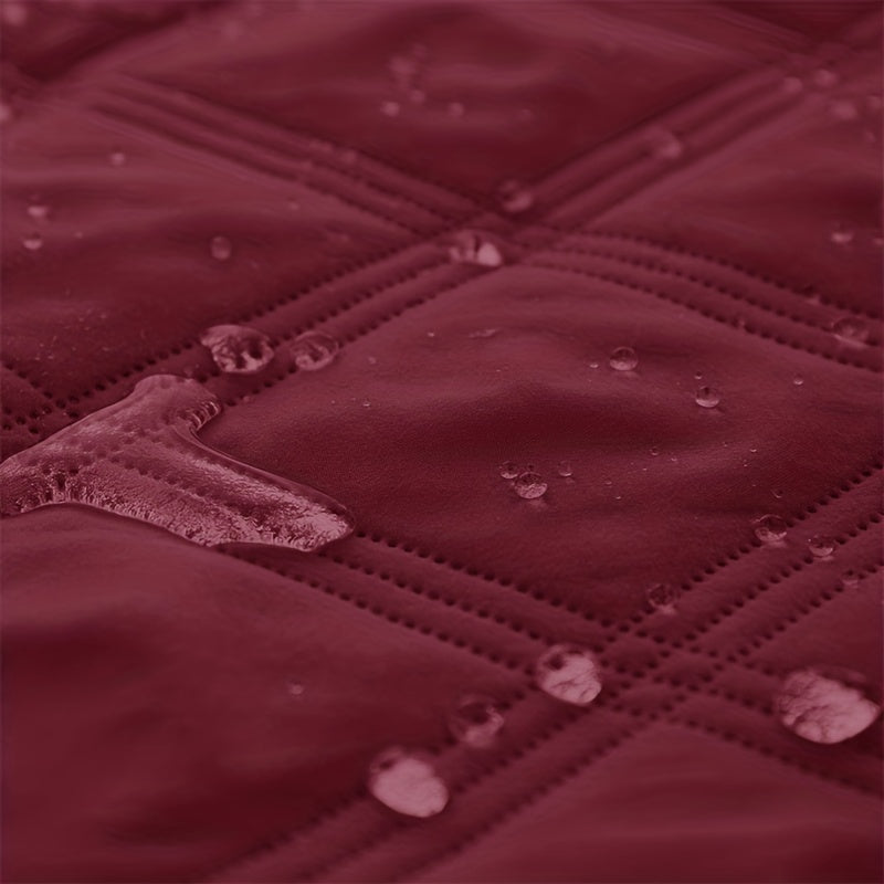 Let Them on the Sofa. Protect It Too.