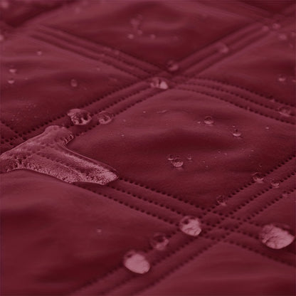 Let Them on the Sofa. Protect It Too.