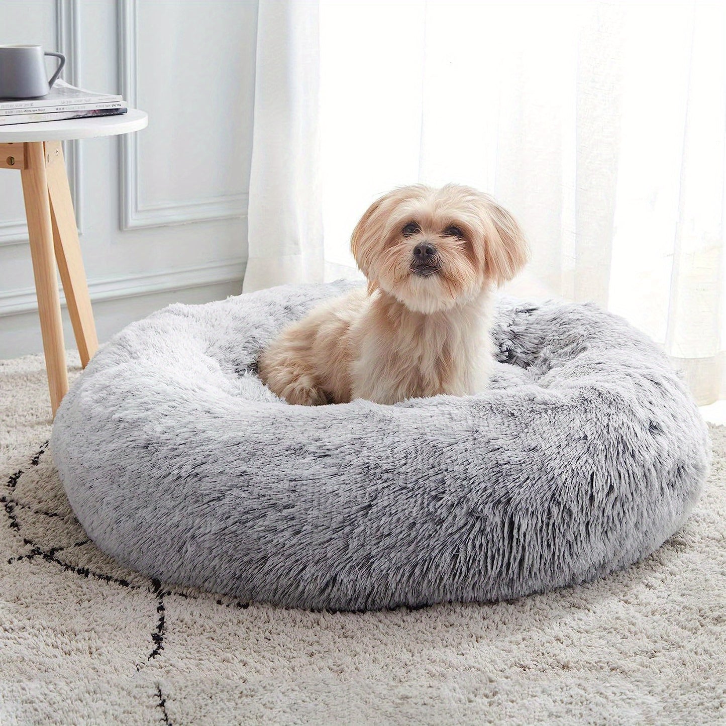 The Bed They'll Actually Use