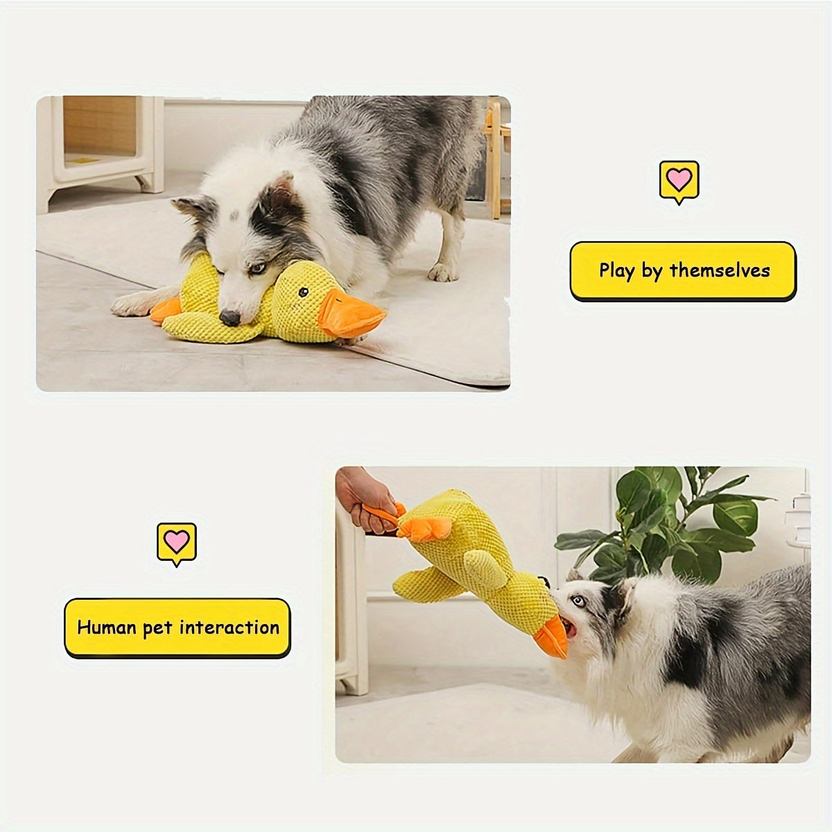 The Duck That Quacks Back