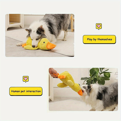 The Duck That Quacks Back