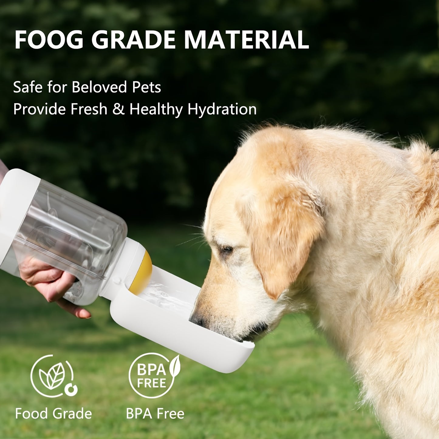 Hydration on Every Walk