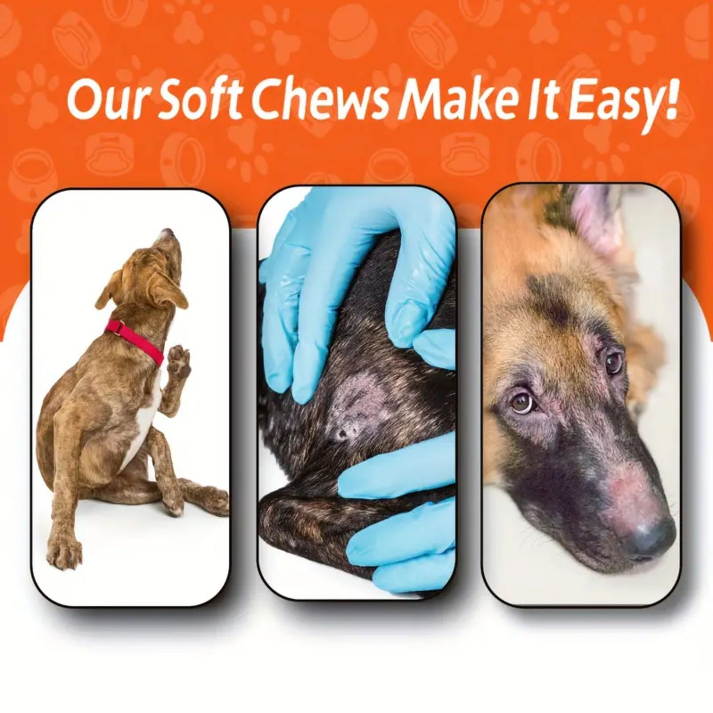 The Glow-Up in a Chew