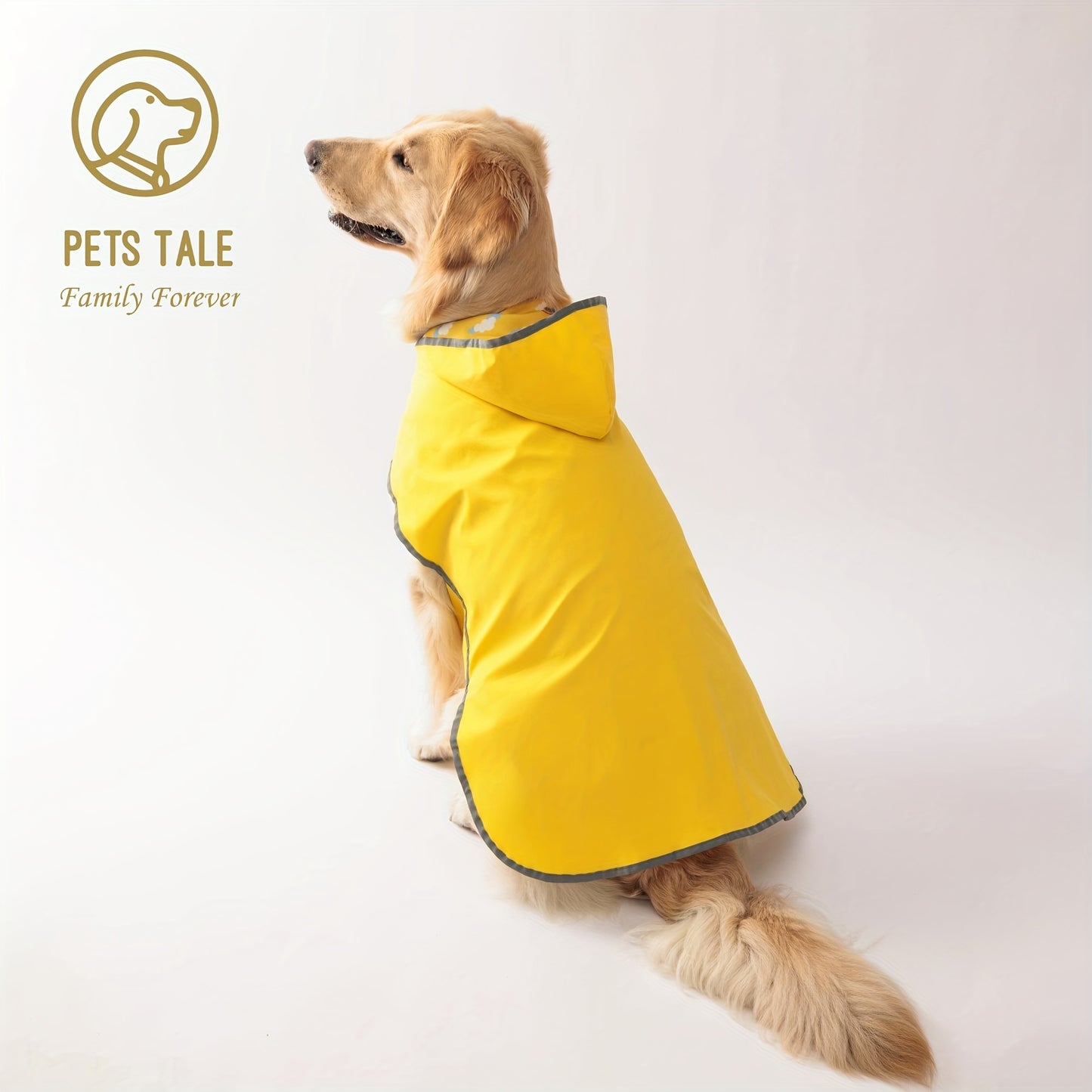 Two Looks, One Rainy Walk
