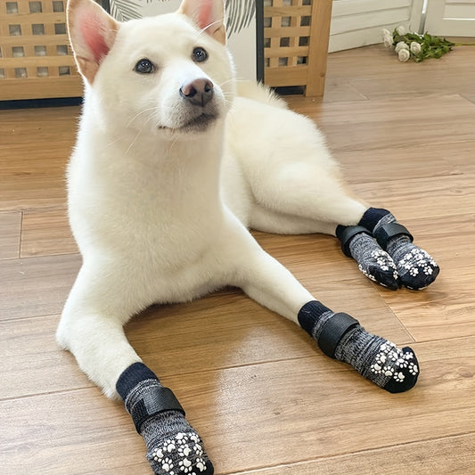 Paws Protected, Floors Too