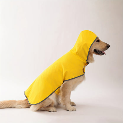 Two Looks, One Rainy Walk