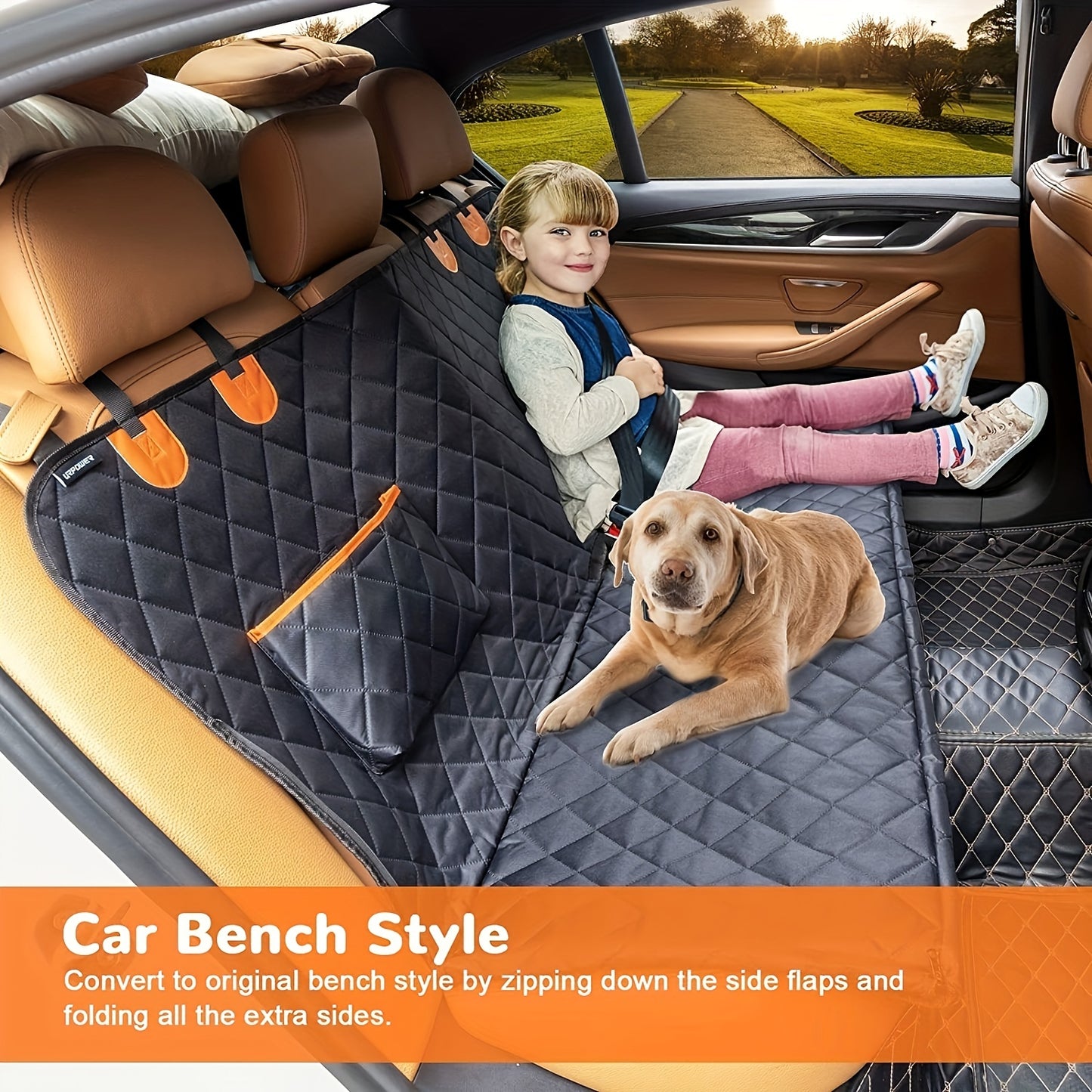 Clean Car, Happy Dog