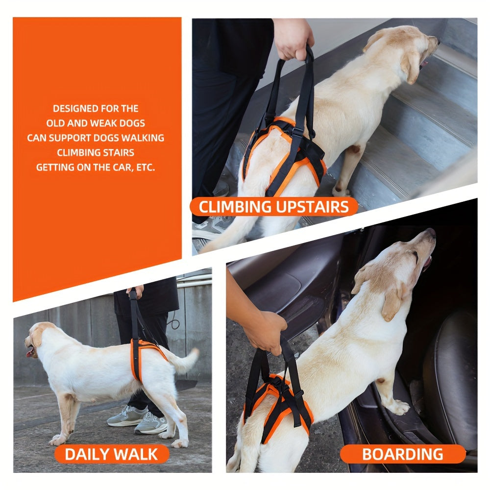 For the Dogs Who Need a Little Help