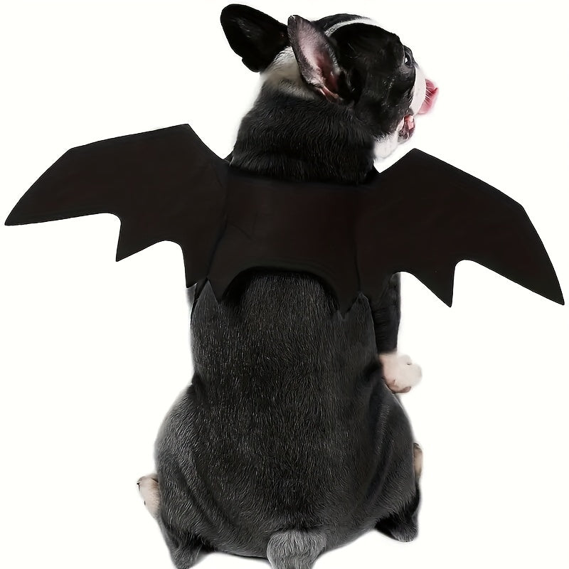 The Bat Dog Has Arrived