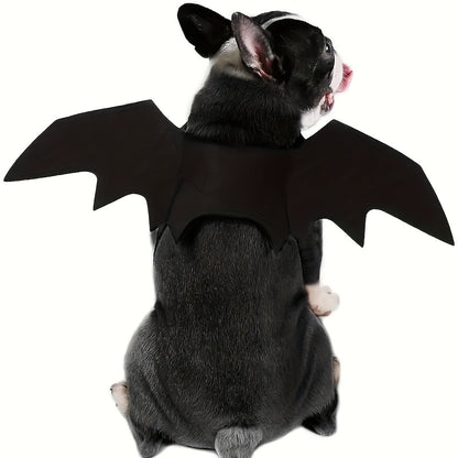 The Bat Dog Has Arrived