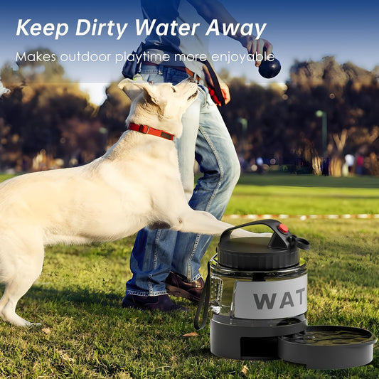 More Water, Longer Adventures