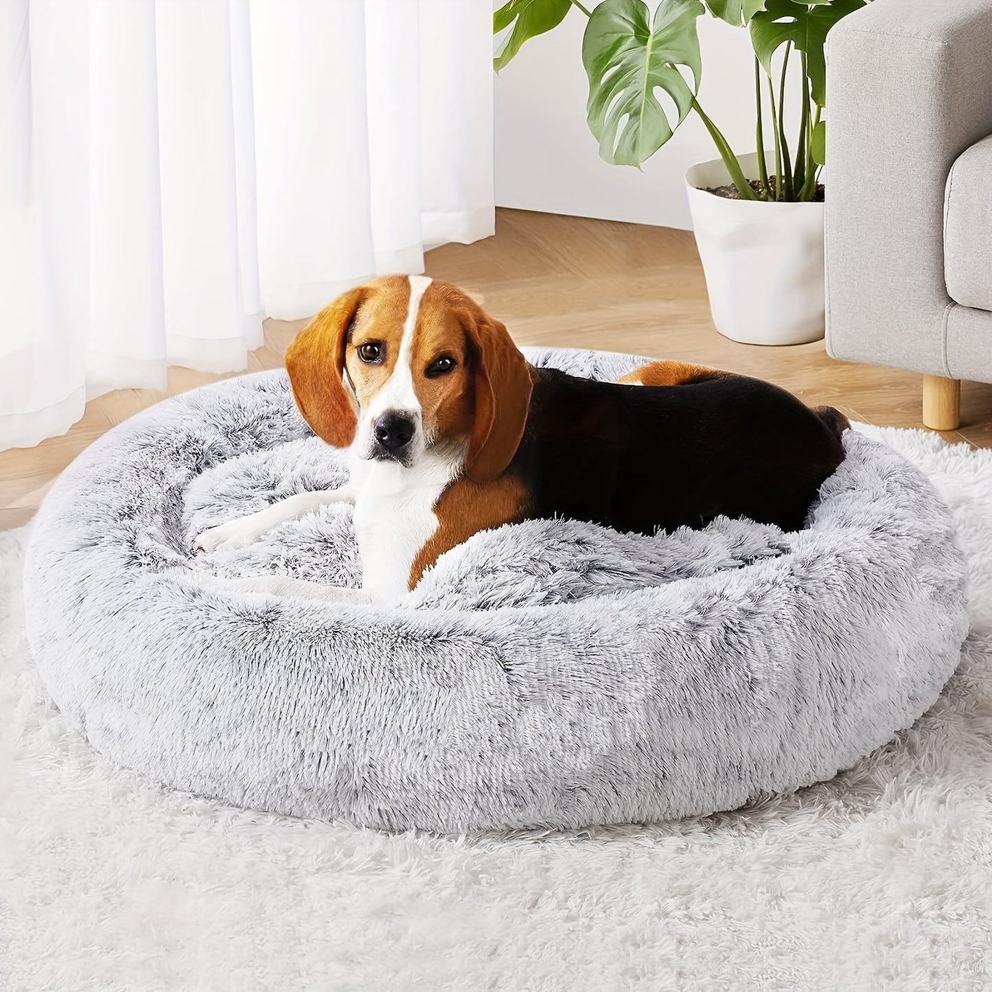 The Bed They'll Actually Use