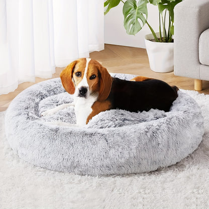 The Bed They'll Actually Use