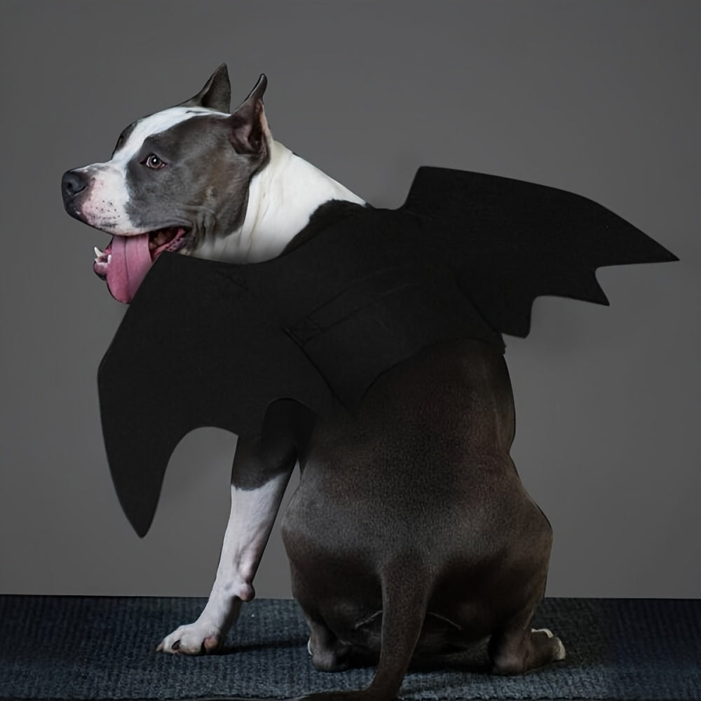 The Bat Dog Has Arrived