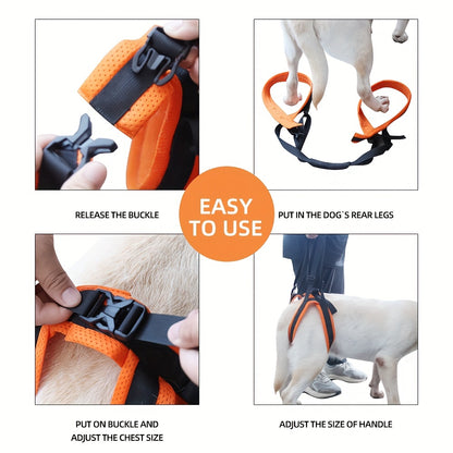 For the Dogs Who Need a Little Help