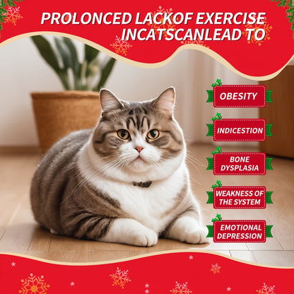 Indoor Miles for the Active Cat