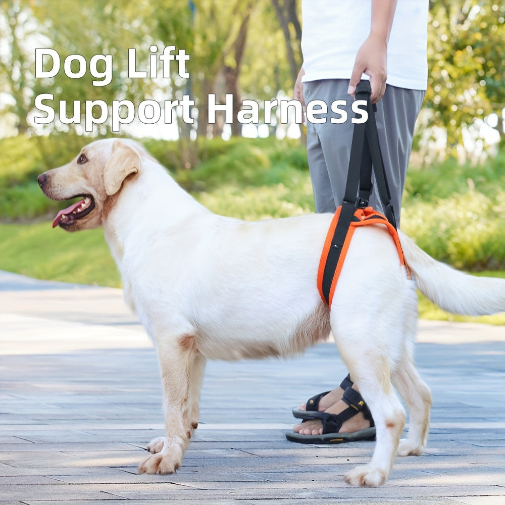 For the Dogs Who Need a Little Help