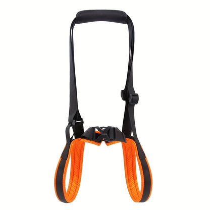 For the Dogs Who Need a Little Help