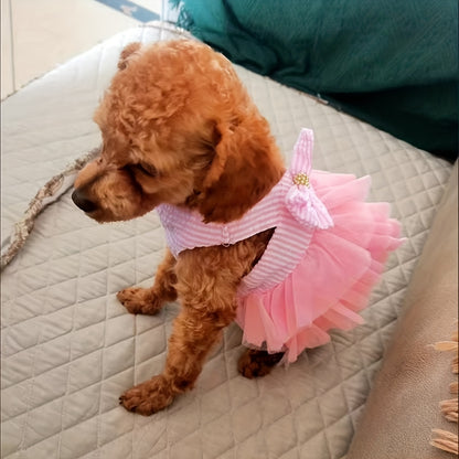 The Princess Has Arrived