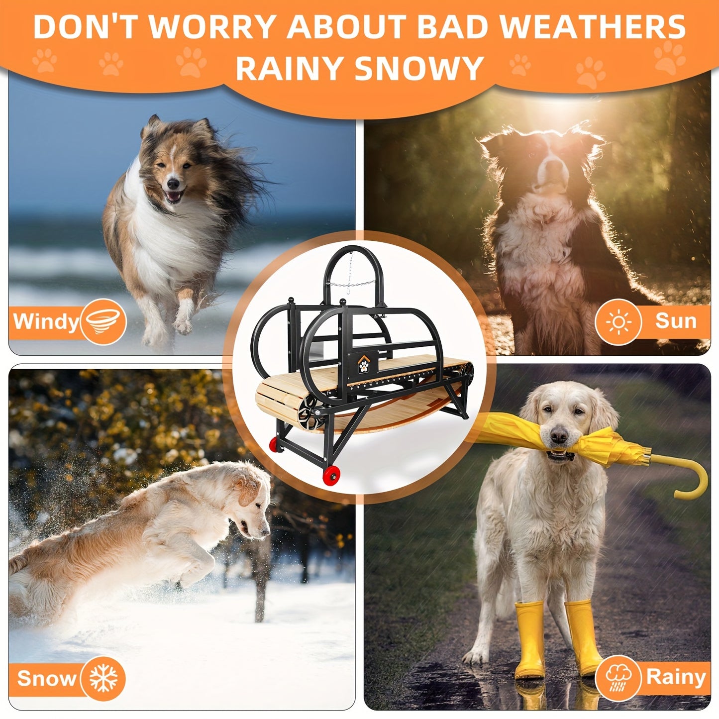 Serious Exercise for Serious Dogs