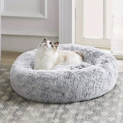 The Bed They'll Actually Use