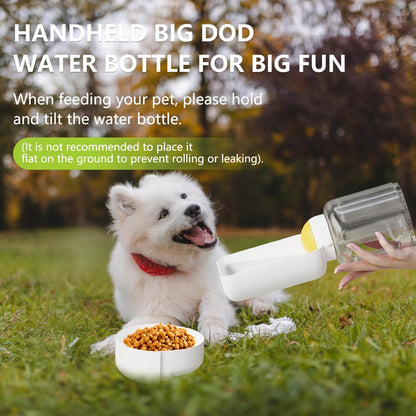 Hydration on Every Walk