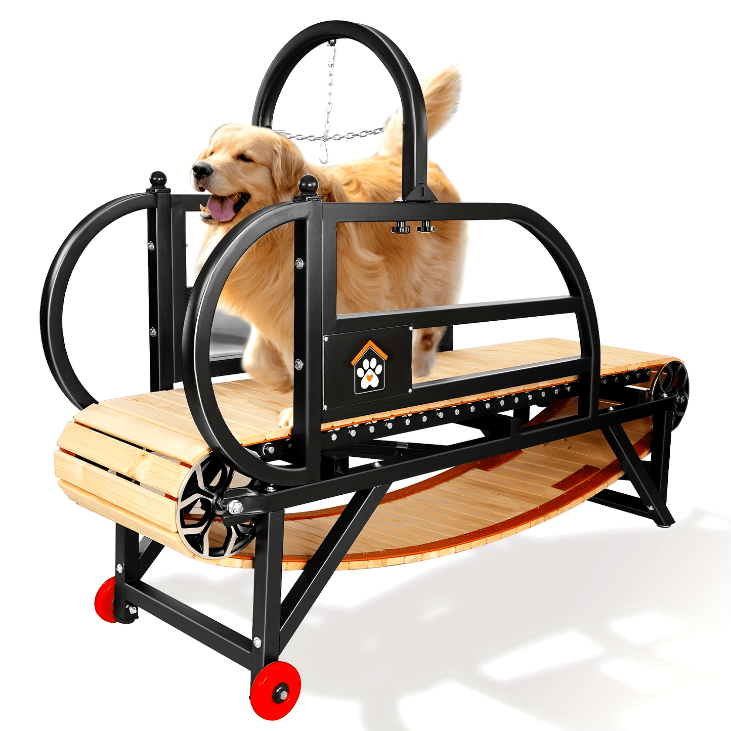 Serious Exercise for Serious Dogs