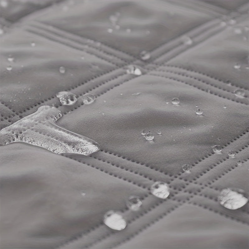 Let Them on the Sofa. Protect It Too.