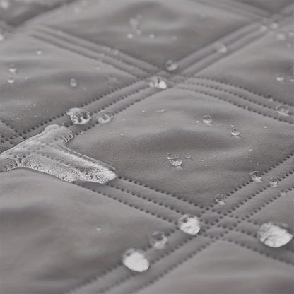 Let Them on the Sofa. Protect It Too.