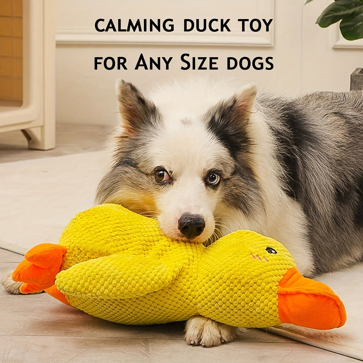 The Duck That Quacks Back