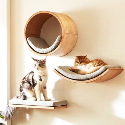 Their Space, Their Rules
