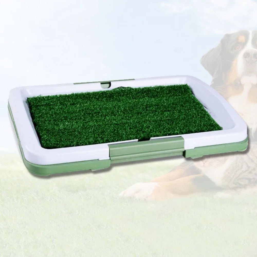 Train on Turf, Not Paper