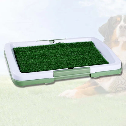 Train on Turf, Not Paper